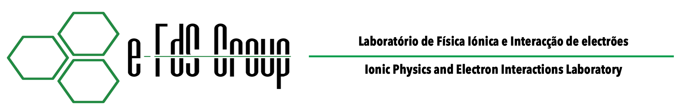 e-FdS Group logo
